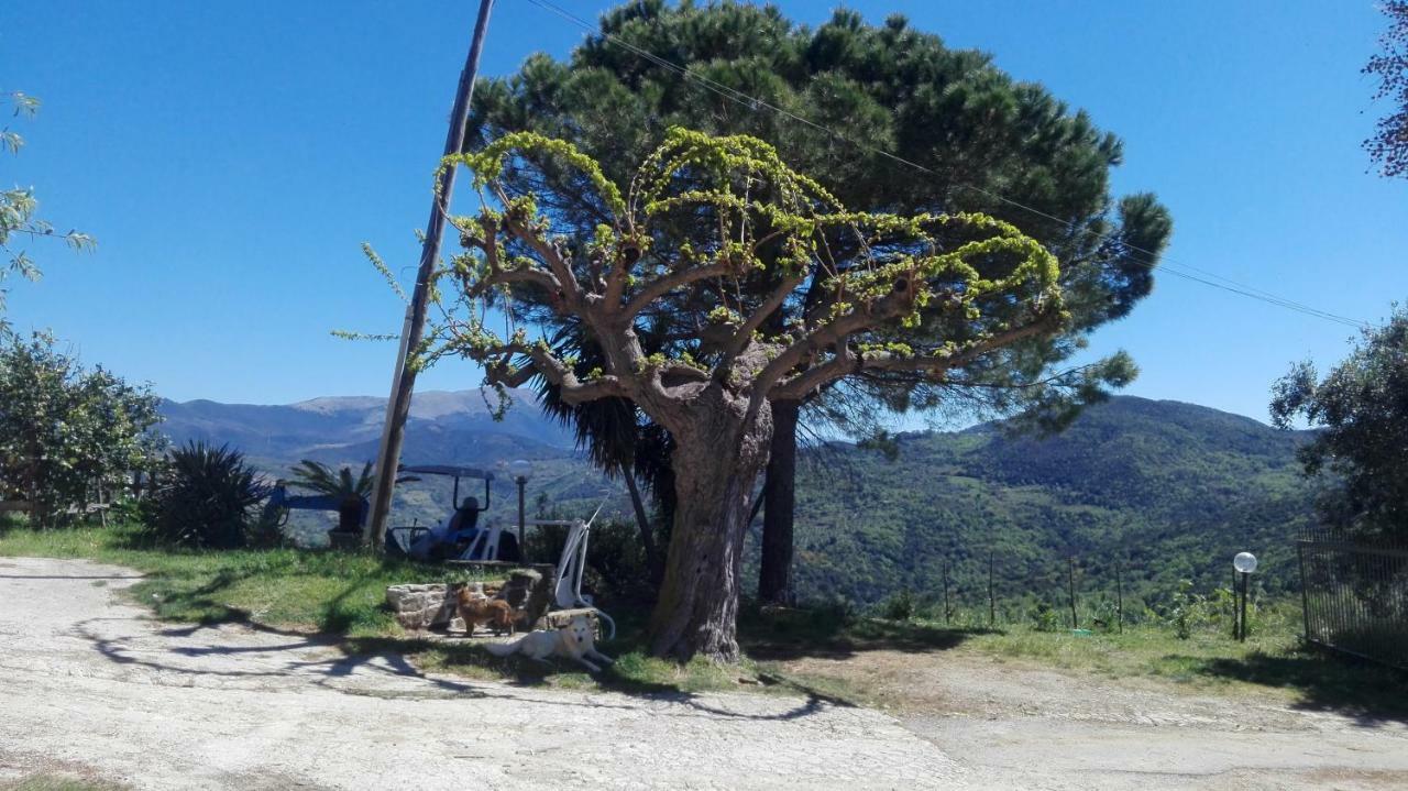 Casa Vacanze Diamante Ogliastro Cilento Exterior foto